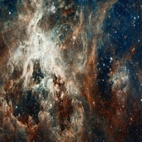 Тарантула Мъглявина - Пълен печат на плакати от НАСА НАСА