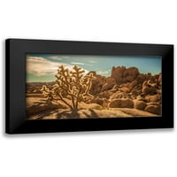 Lichtenwalter, Tom Black Modern Framed Museum Art Print, озаглавен - Пустинен преден план