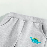 Biayxms малки деца бебешки момчета панталони комплекти дълги ръкави динозавър печат топ и еластични панталони панталони