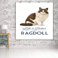 Ragdoll Cat, животът е по -добър