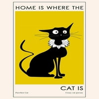 Домът е мястото, където котката е от Айзе