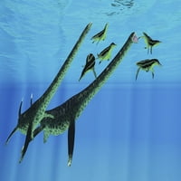 Двойка от Styxosaurus атакуват група от Dolichorhynchops plesiosaurs. Печат на плакат от Corey Ford Stocktrek Images