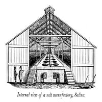 Ню Йорк: Salina, 1841. Деветтенален изглед на фабрика за сол в Salina, окръг Onondaga. Гравиране на дърва, 1841. Плакатен печат от