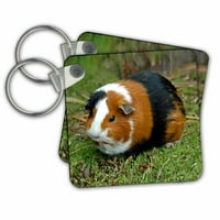 3Drose Guinea Pig - ключови вериги, 2. от, набор от 2